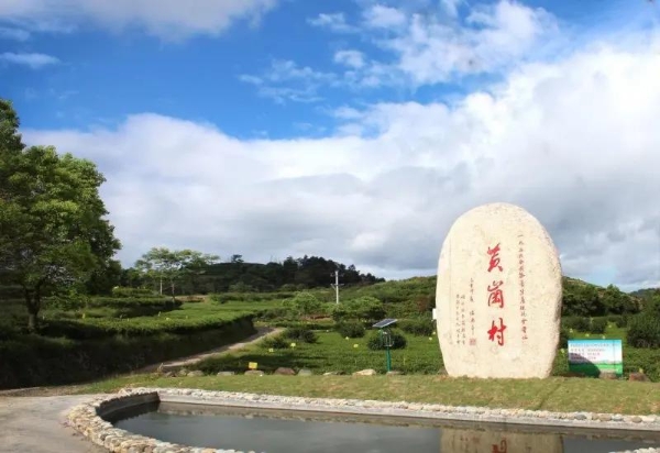  福鼎誉达白茶：以卓越品质与强劲实力，荣膺茶王赛多项殊