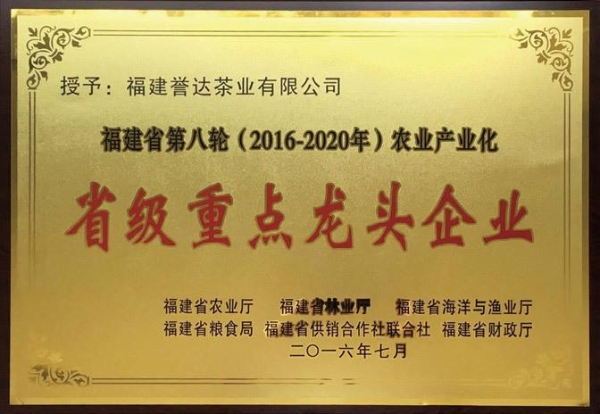  福鼎誉达白茶：以卓越品质与强劲实力，荣膺茶王赛多项殊