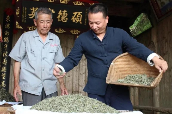 福鼎誉达白茶：以卓越品质与强劲实力，荣膺茶王赛多项殊