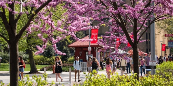 专业选择丰富、匹配职业未来—天普大学成为留学新选择 