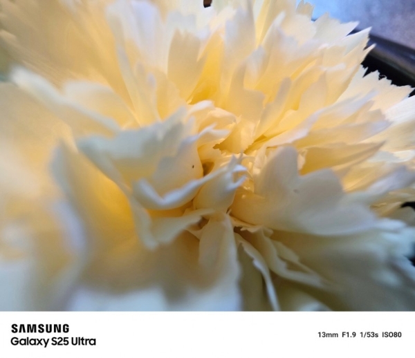 随手拍也能出大片 用三星Galaxy S25 Ultra将灵感变成现实