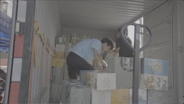 成本减半 路权开挂 顺丰生鲜专线背后的“绿色动能”