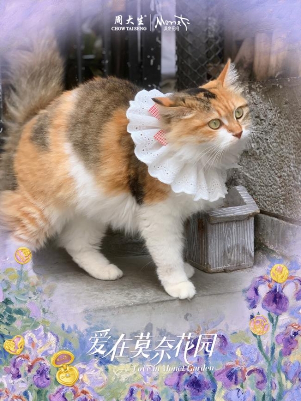 周大生携手美图秀秀打造 520 专属浪漫滤镜，定格心动时刻