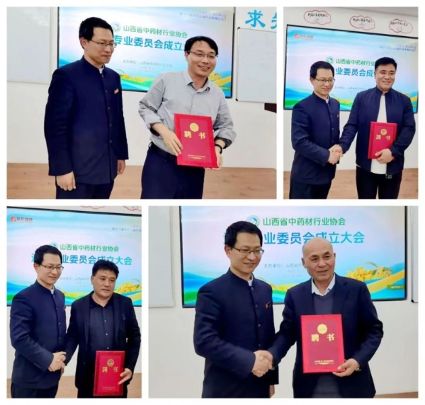  振东制药领航，第十一届全国连翘产业发展论坛助力产业升级
