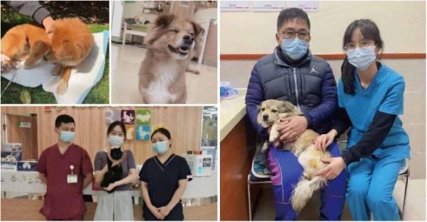 以爱之名，托举残缺希望：新瑞鹏残疾动物救助之路