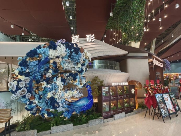 菌彩·云南野生菌火锅领鲜“出滇记”——五一双店绽放，云南民族餐饮破界对话巴蜀美食之都