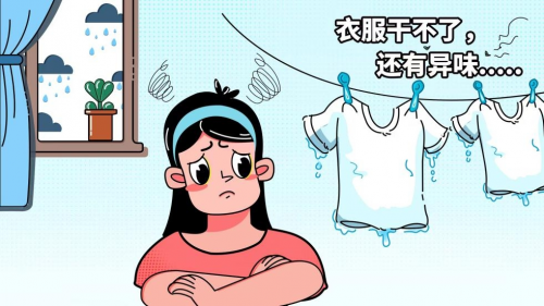 湿气难除，发霉问题，不如试试百奥除湿