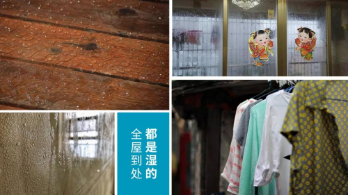 湿气难除，发霉问题，不如试试百奥除湿