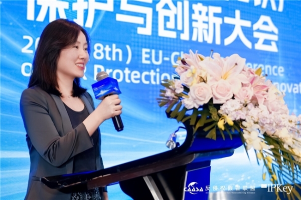 2025(第八届)中欧互联网知识产权保护与创新大会在京成功举办! 共探数字时代知识产权治理新挑战
