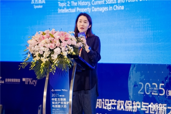 2025(第八届)中欧互联网知识产权保护与创新大会在京成功举办! 共探数字时代知识产权治理新挑战