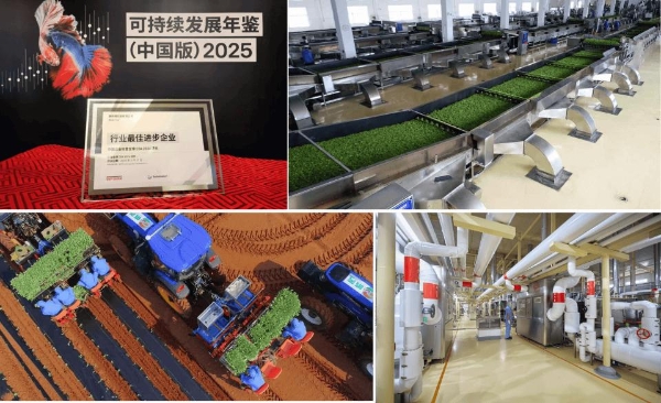 康师傅：在流量泡沫中坚守，以长期主义致胜