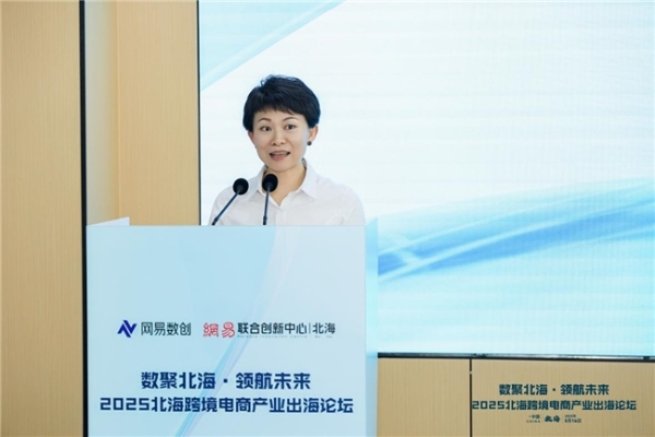  共话跨境电商新机遇—“数聚北海·领航未来”2025北海跨境电商产业出海论坛圆满落幕 