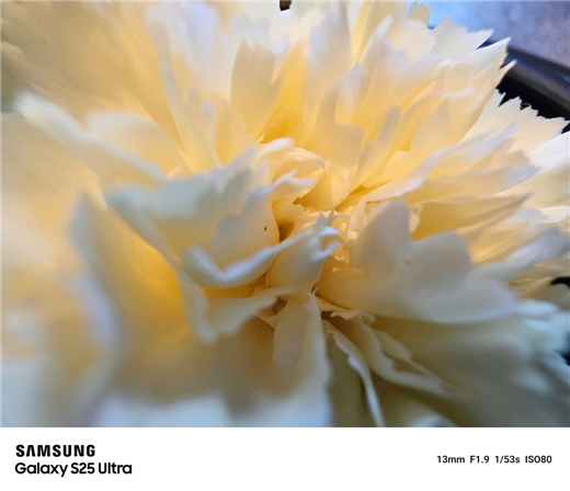 年中换机正当时 三星商城Galaxy S25系列618“好运有鲤”