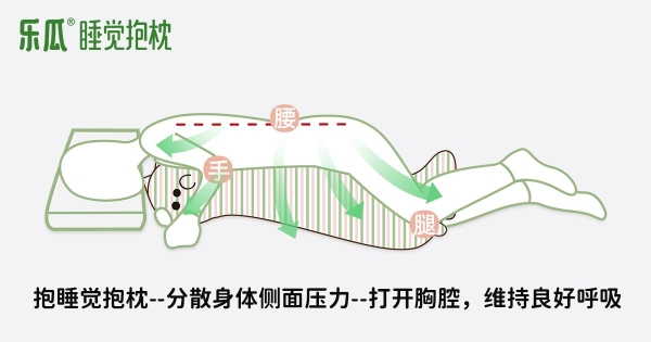 乐瓜睡觉抱枕守护国民睡姿健康，让更多人睡好觉