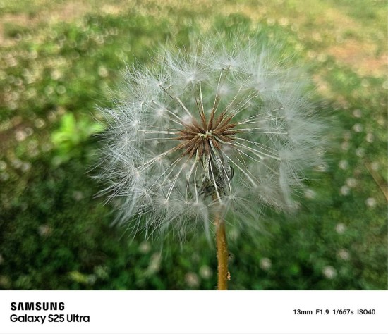 一部手机，拍全旅程 三星Galaxy S25 Ultra全焦段样张解析