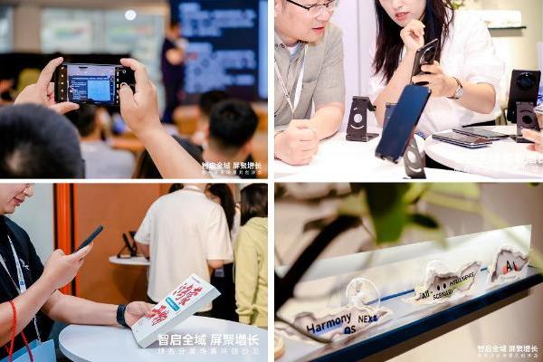 共话服务分发，共享鸿蒙生态 --华为终端云服务分发业务部与行业伙伴场景共创沙龙