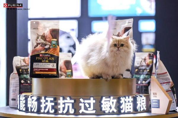 破解对猫过敏难题，冠能畅抚猫粮本土化新品重磅上市 