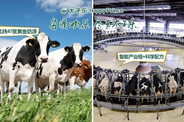 小满时节,太子乐挚恩以“一罐全能”守护宝宝夏日成长