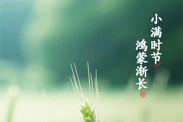 小满时节，鸿蒙渐长