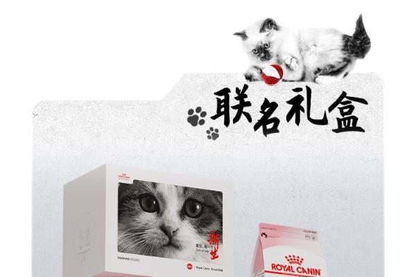 「看见·新生」，用爱与科技点亮毛孩子的未来