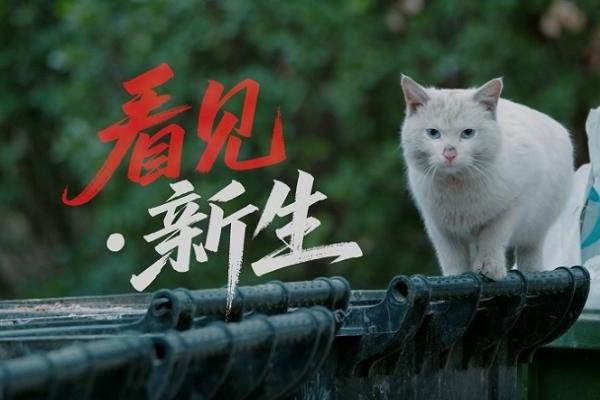 「看见·新生」，用爱与科技点亮毛孩子的未来