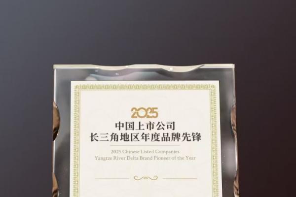 完美世界获评“2025中国上市公司长三角地区年度品牌先锋”称号