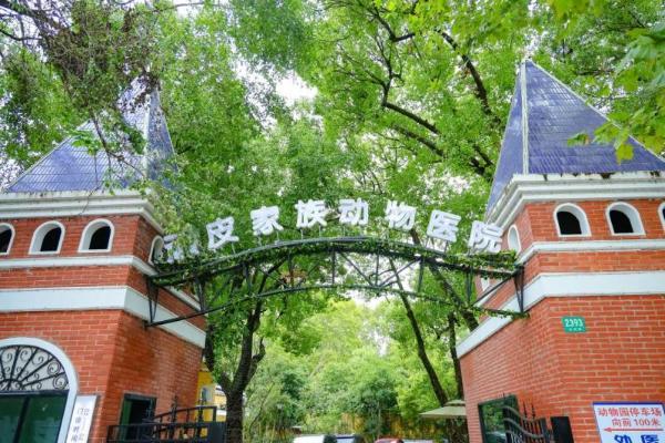 微创技术领域再升级：新瑞鹏旗下宠物医院重建消化系统生理功能，让爱宠重焕生机