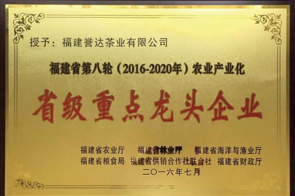  福鼎誉达白茶：以卓越品质与强劲实力，荣膺茶王赛多项殊