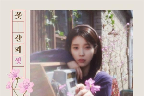 歌手IU《花书签3》网易云音乐独家首发 时隔8年再出翻唱专辑
