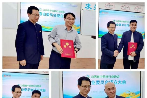  振东制药领航，第十一届全国连翘产业发展论坛助力产业升级