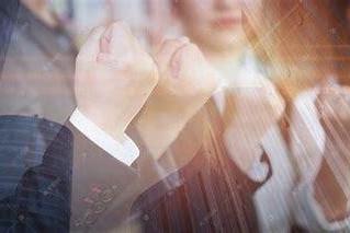  众鑫分会重磅启动区域团队长培养计划 全面打造行业精英人才梯队