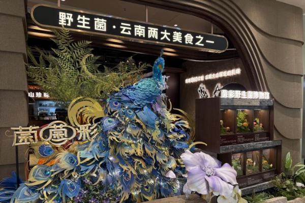 ​菌彩·云南野生菌火锅领鲜“出滇记”——五一双店绽放，云南民族餐饮破界对话巴蜀美食之都​