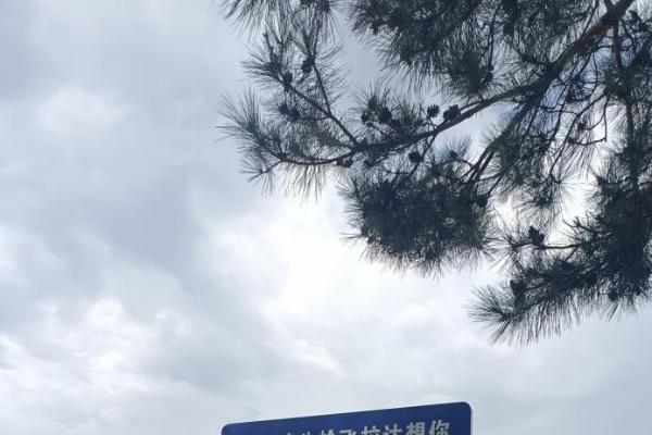  2025鸡公岭飞拉达WS天梯赛热血回归！挑战2814米绝壁征途