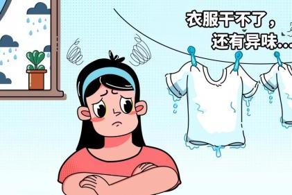 湿气难除，发霉问题，不如试试百奥除湿