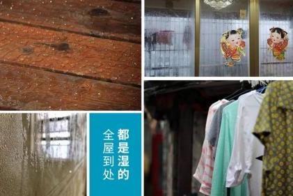 湿气难除，发霉问题，不如试试百奥除湿