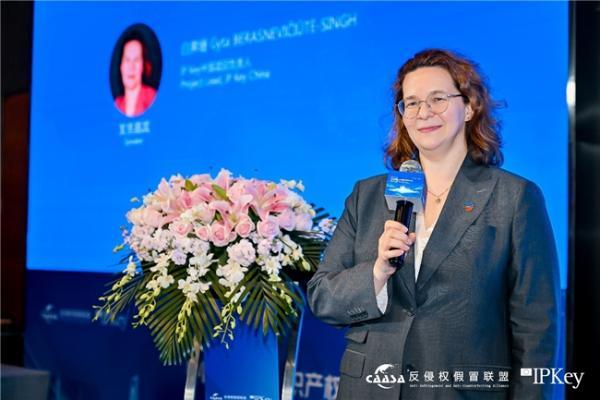 2025(第八届)中欧互联网知识产权保护与创新大会在京成功举办! 共探数字时代知识产权治理新挑战