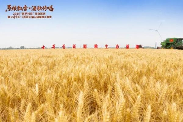 蔡学飞：从一粒麦到一滴酒，读懂古井贡酒的品质信仰