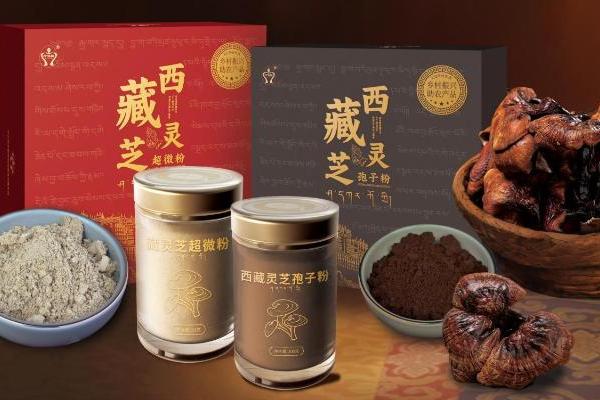  上海慧聚源携手尼木藏贝：以灵芝绘就农特产业新篇