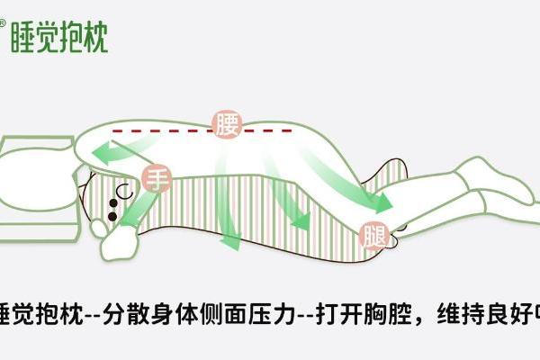 乐瓜睡觉抱枕守护国民睡姿健康，让更多人睡好觉