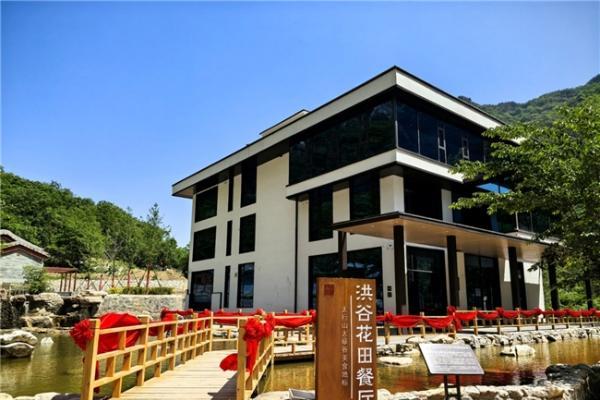 艺术美食共绽，洪谷花田餐厅开启中国最美山庄文旅新章