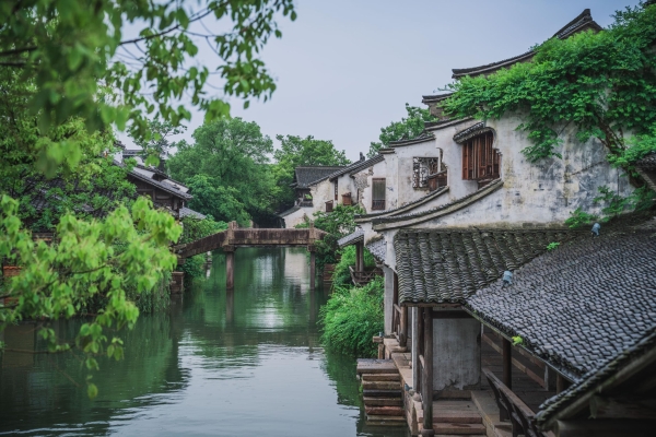 “濮院夏日水尚生活”热度高涨 水陆空三维消夏场景引客来 