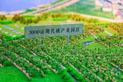华润万家焕乡计划之百家基地建设，蒙阴蜜桃基地正式授牌
