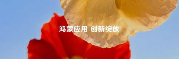 技术赋能伙伴构筑高品质的数字内容和服务，鸿蒙体验穿越“微笑曲线”
