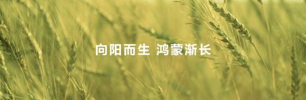 技术赋能伙伴构筑高品质的数字内容和服务，鸿蒙体验穿越“微笑曲线”