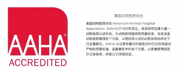  江苏宠物医疗里程碑！新瑞鹏集团南京五家动物医院高分获AAHA认证，树立行业标杆
