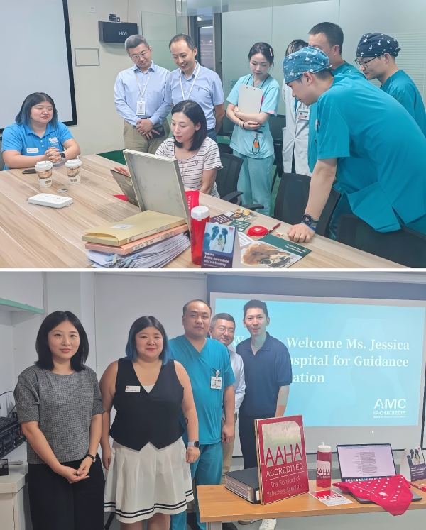  江苏宠物医疗里程碑！新瑞鹏集团南京五家动物医院高分获AAHA认证，树立行业标杆