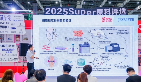  上海美博会盛大开幕，共筑全球美业生态新图景