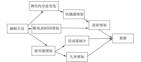 体重管理年新注解：清雷科技用睡眠数据构筑健康防线