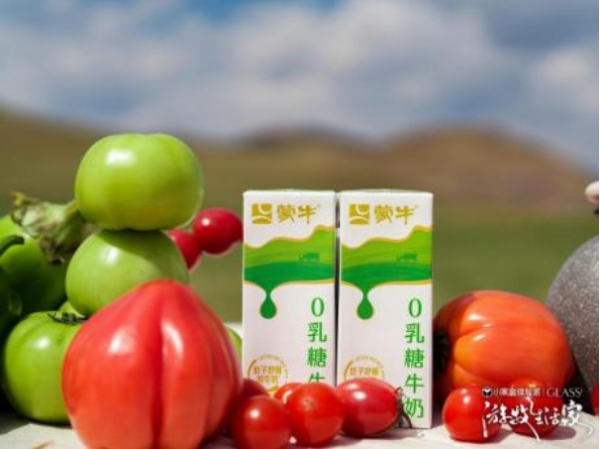  游牧生活家：无界野宴，不止于宴