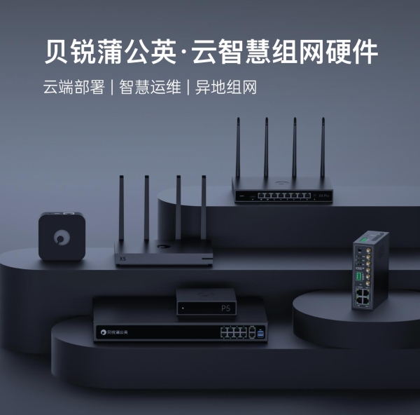 再夺第一！贝锐蒲公英异地组网路由器销量领跑中国市场